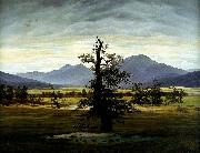 Caspar David Friedrich Village Landscape in Morning Light china oil painting reproduction